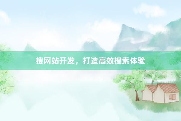 搜网站开发，打造高效搜索体验