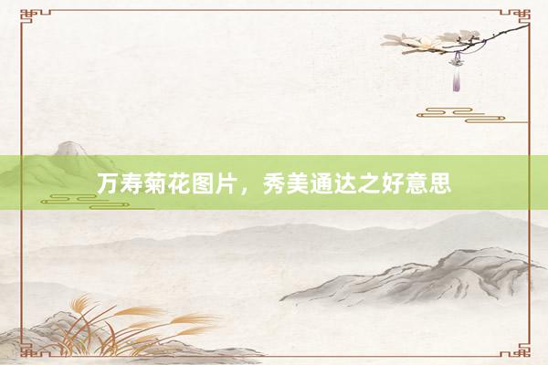 万寿菊花图片，秀美通达之好意思